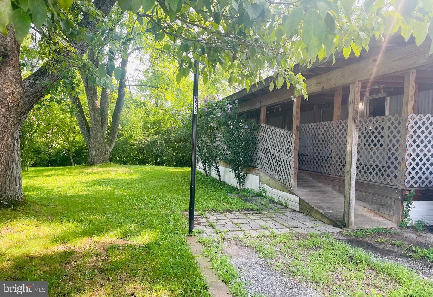 563 Pine Drive photo 3