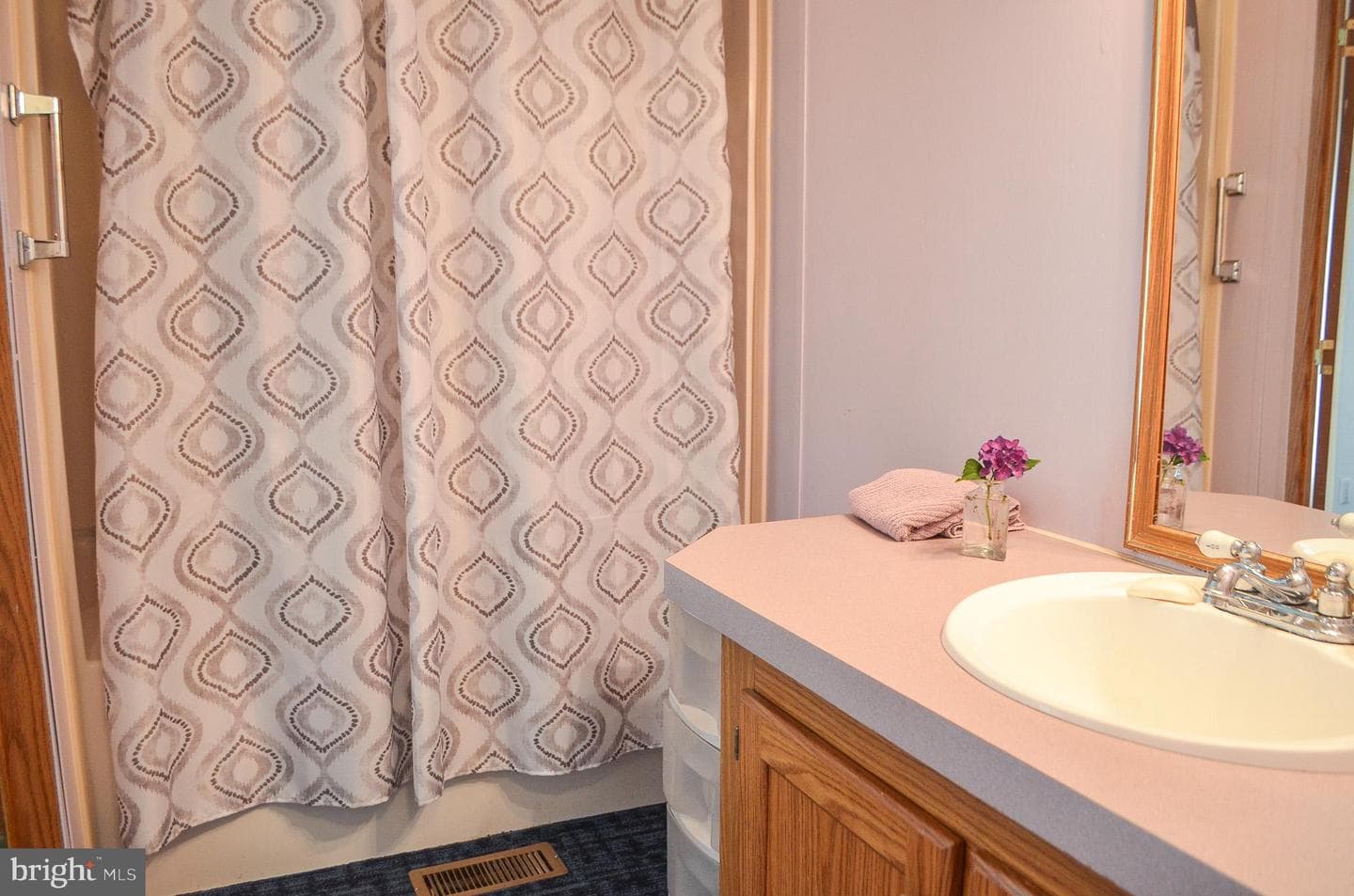 113 Rain Dove Drive photo 25