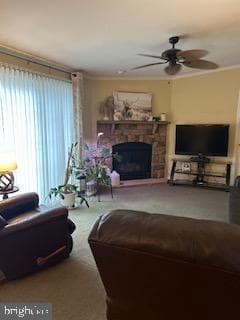 191 Boxwood Road photo 15