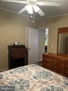 191 Boxwood Road photo 19