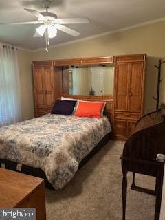 191 Boxwood Road photo 20