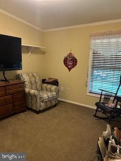 191 Boxwood Road photo 22