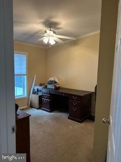 191 Boxwood Road photo 23