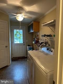 191 Boxwood Road photo 24