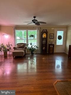 191 Boxwood Road photo 4