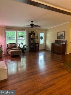 191 Boxwood Road photo 5