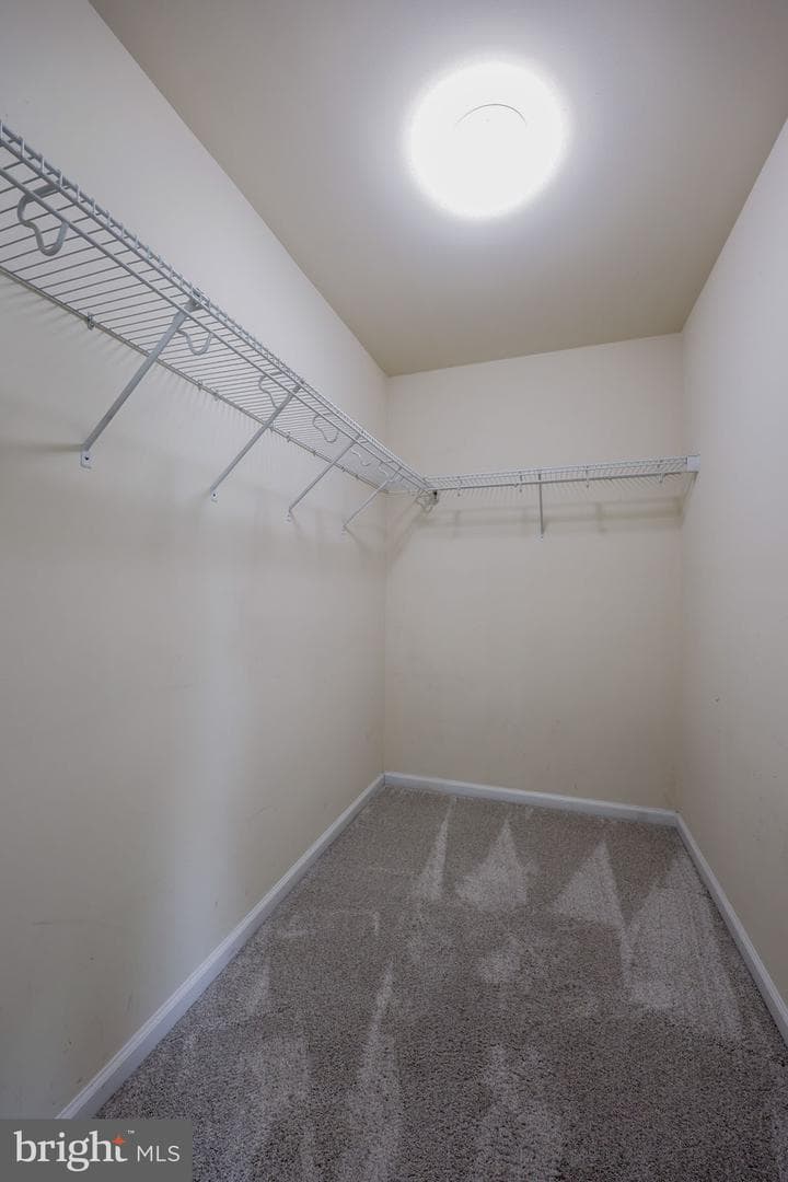 2307 Golden Eagle Drive photo 33