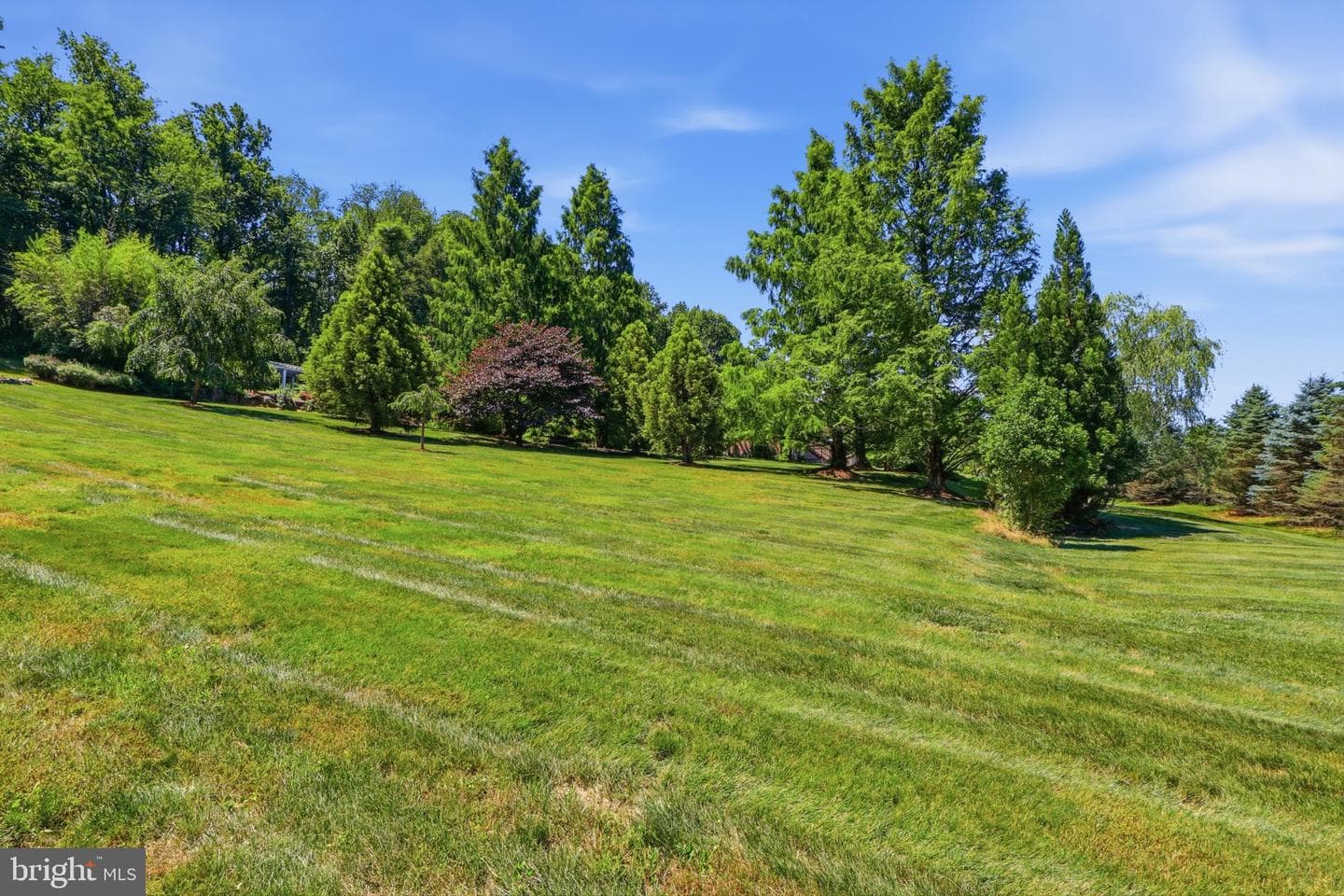 545 Strickler's School Road photo 29