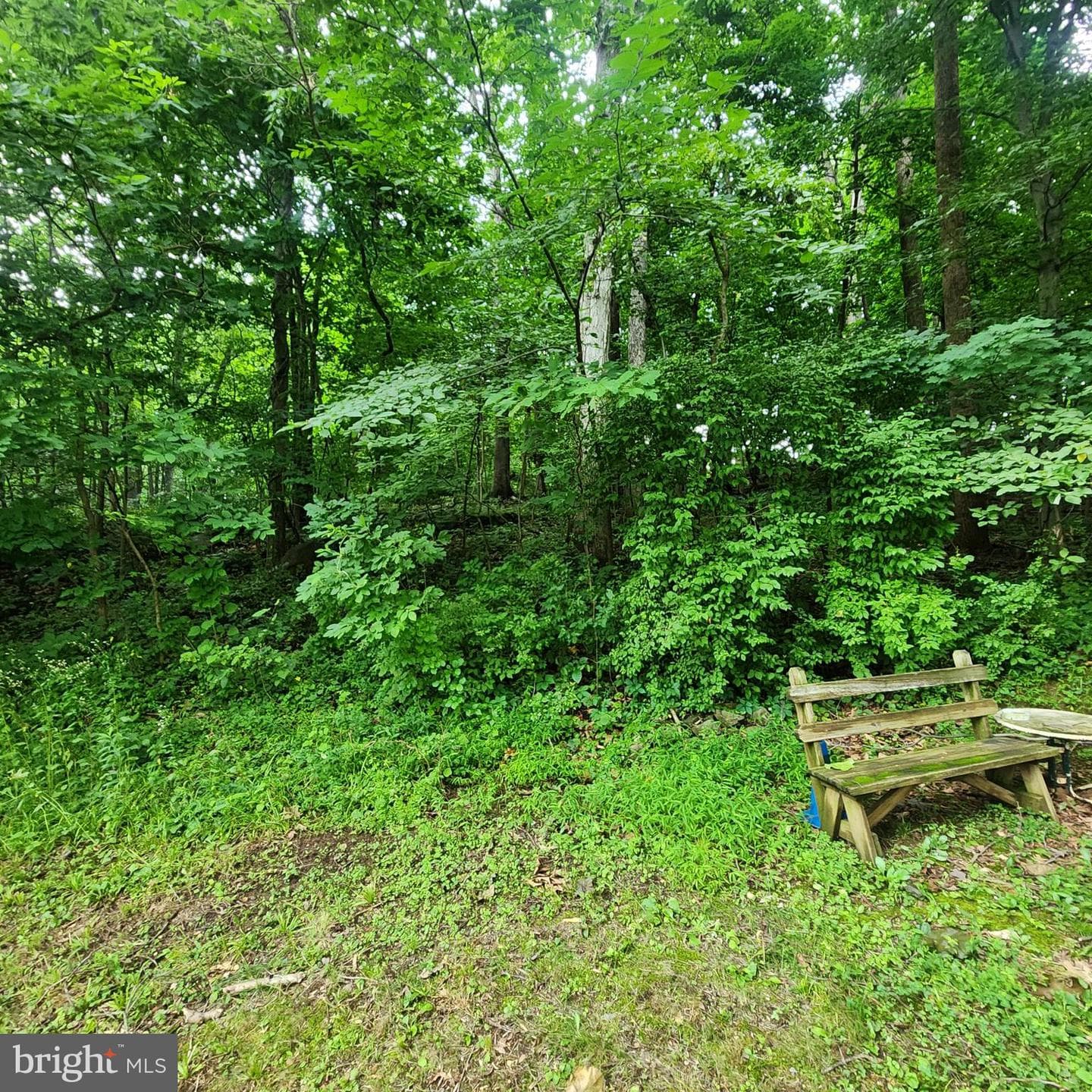 290 Creek Road photo 11