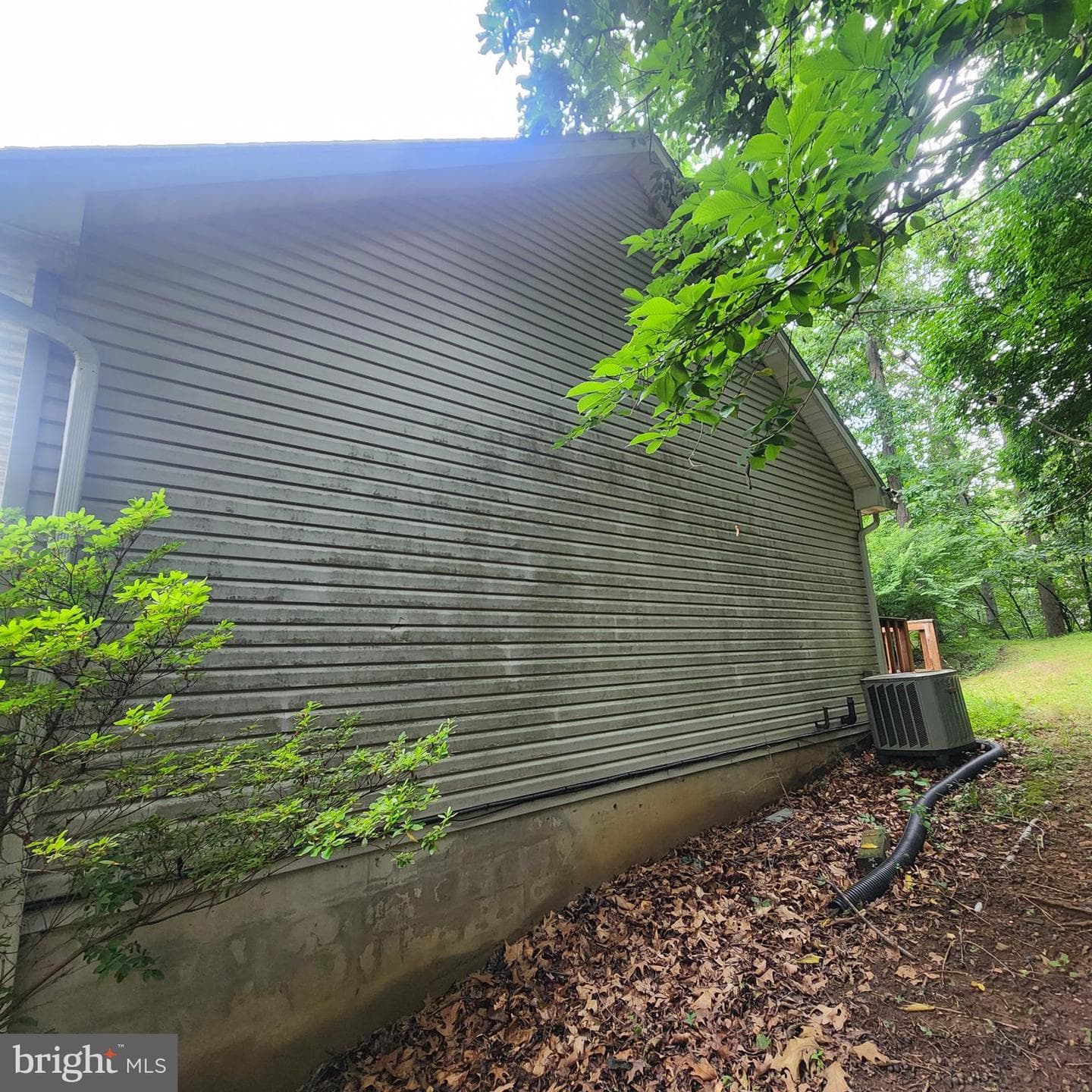 290 Creek Road photo 12