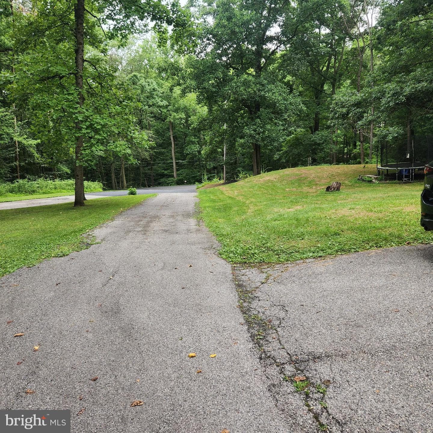 290 Creek Road photo 4