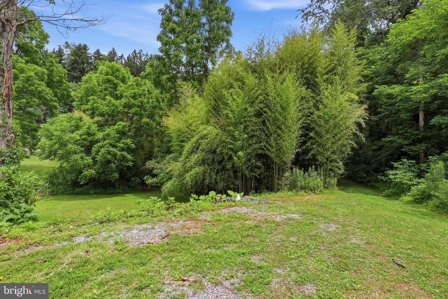3362 Myers School Road photo 46