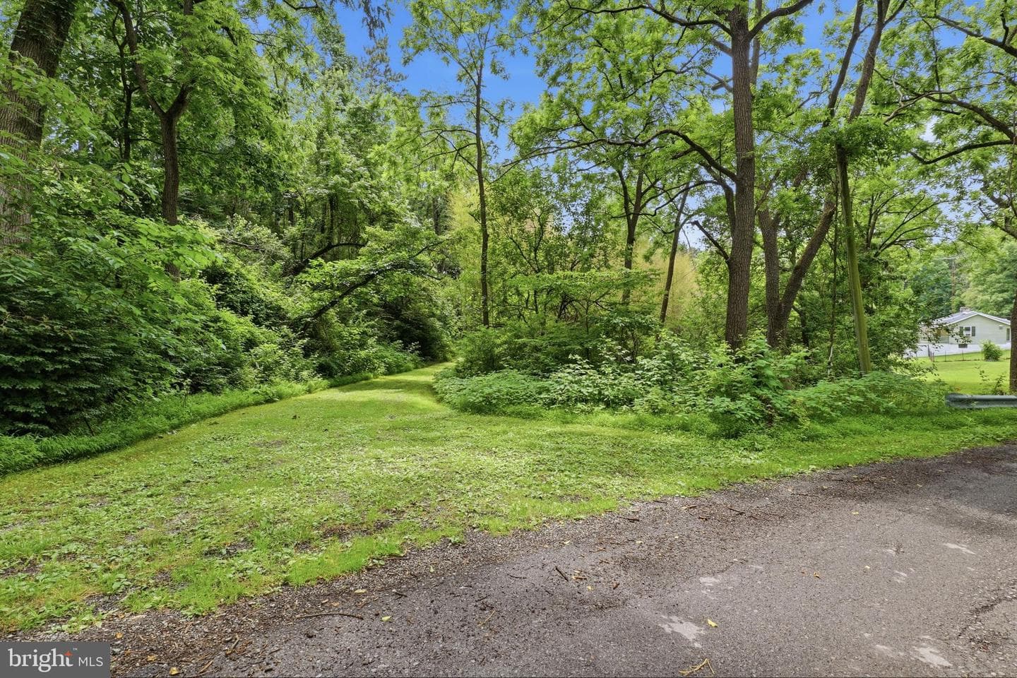 3362 Myers School Road photo 58