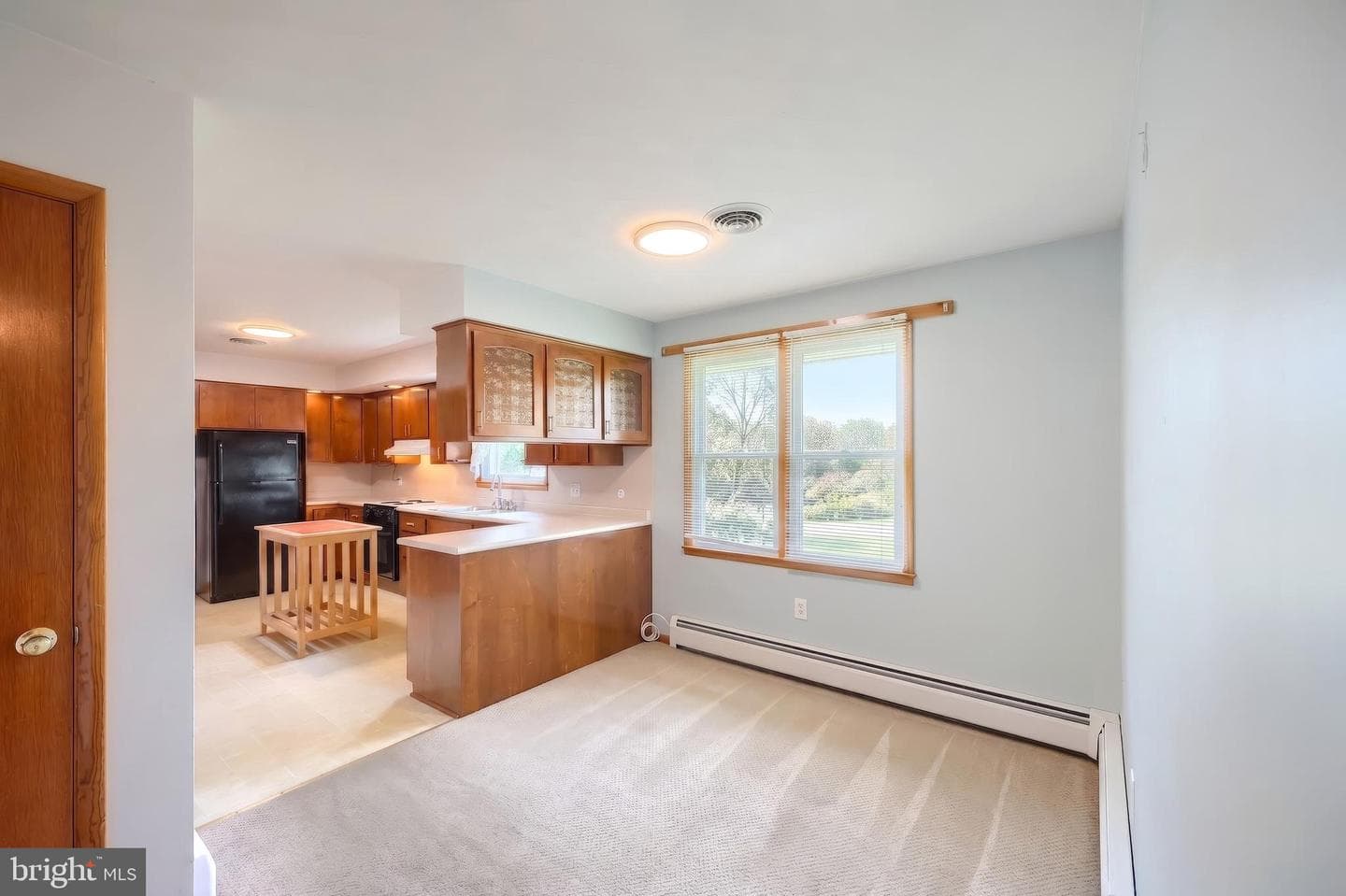 102 Walnut Valley Court photo 16