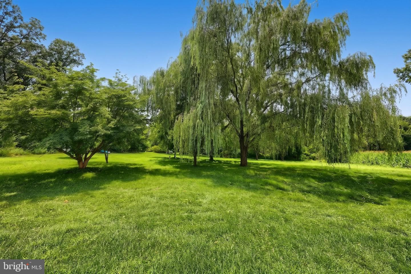 102 Walnut Valley Court photo 6