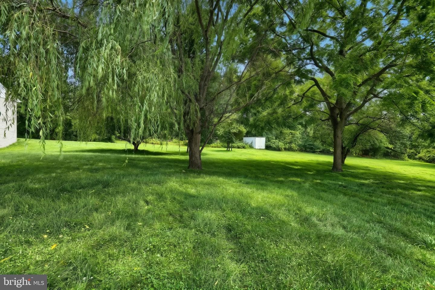 102 Walnut Valley Court photo 8
