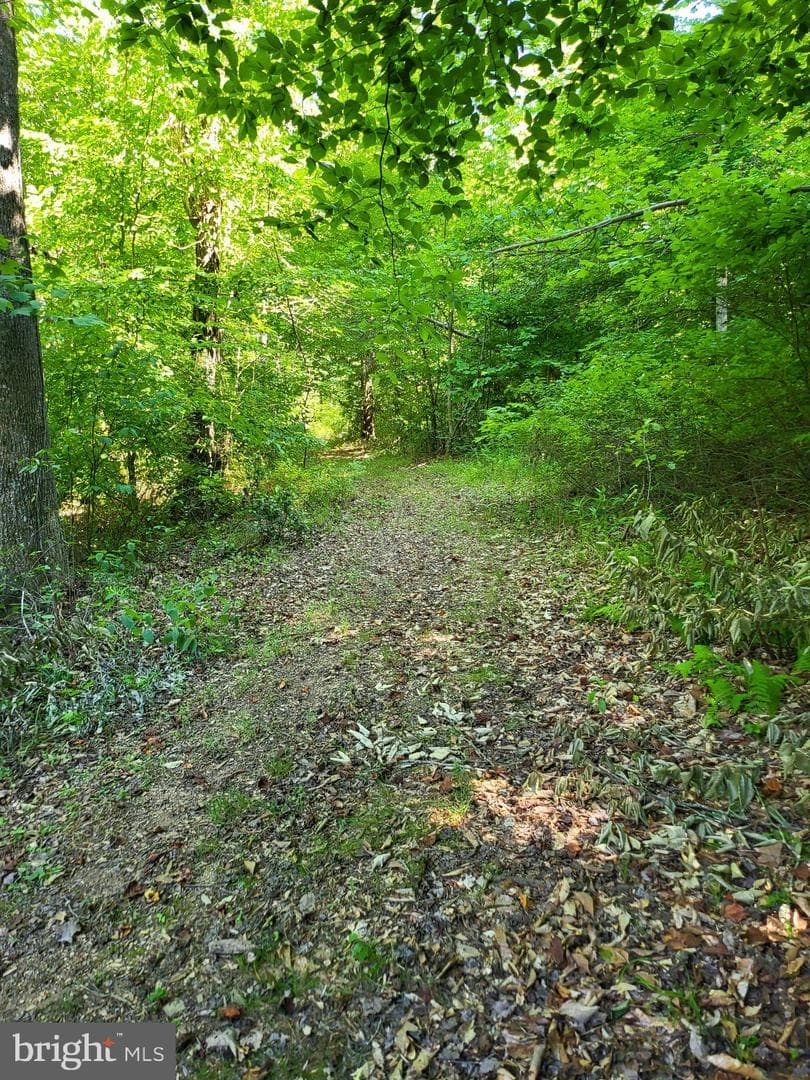 6594 Esmont Road photo 21
