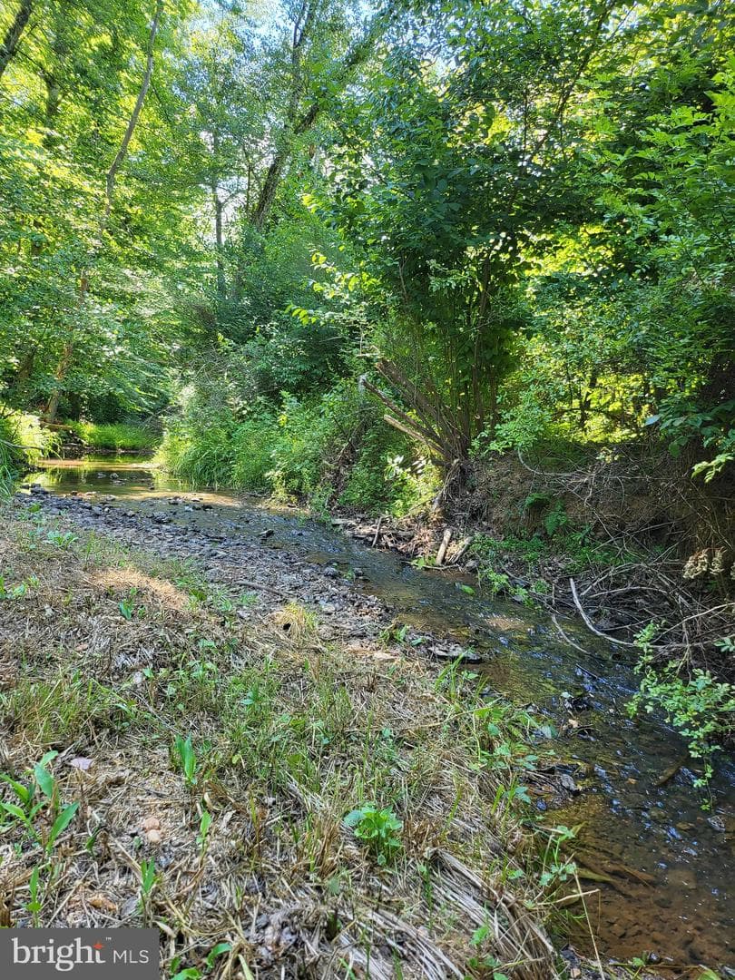 6594 Esmont Road photo 22