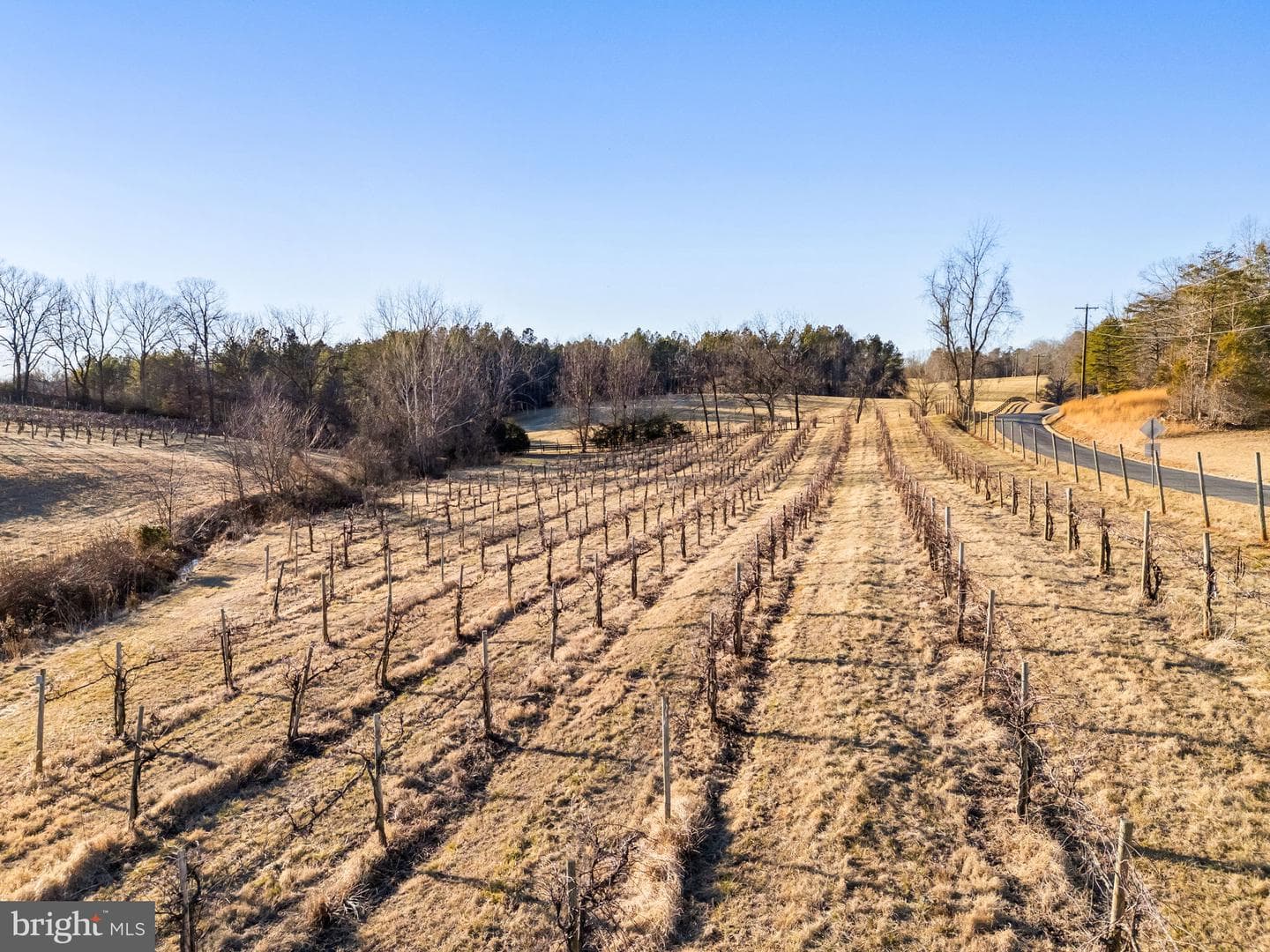 4500 Winery Lane photo 10