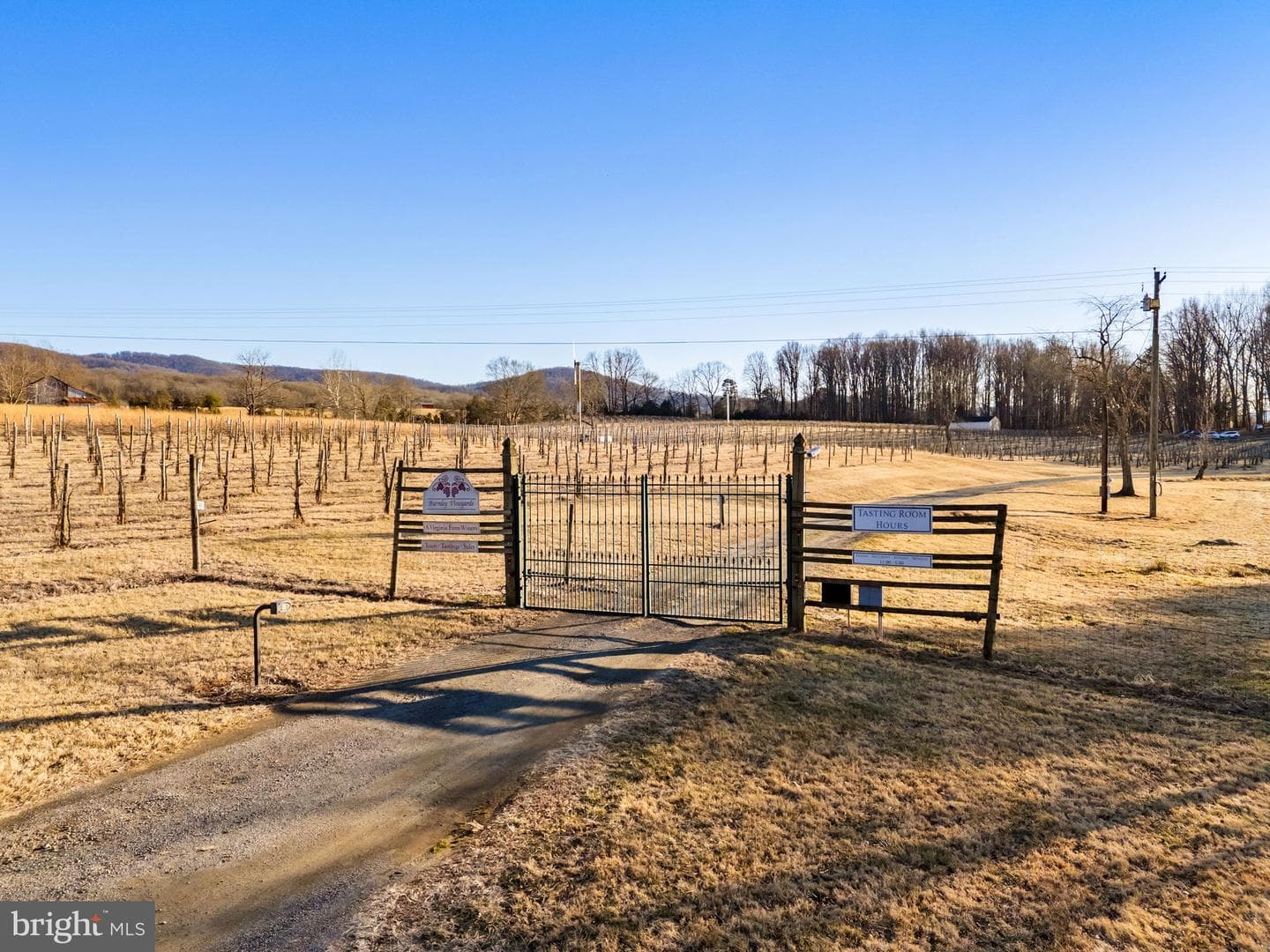 4500 Winery Lane photo 11