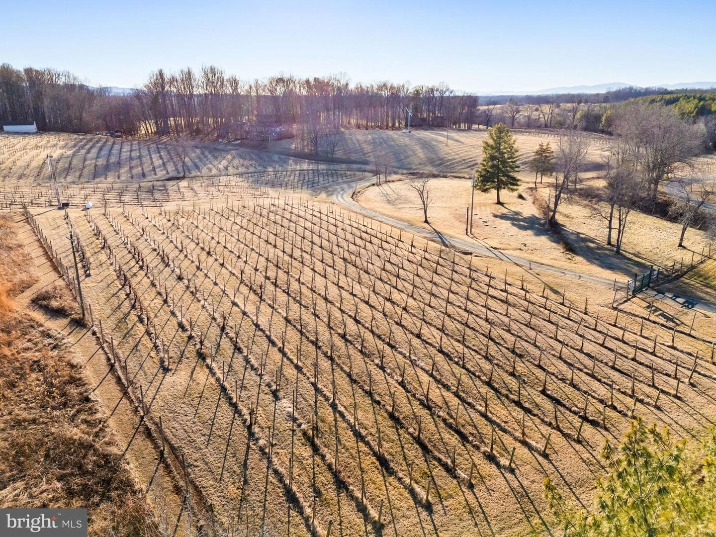 4500 Winery Lane photo 12