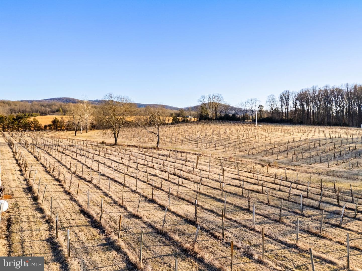 4500 Winery Lane photo 15