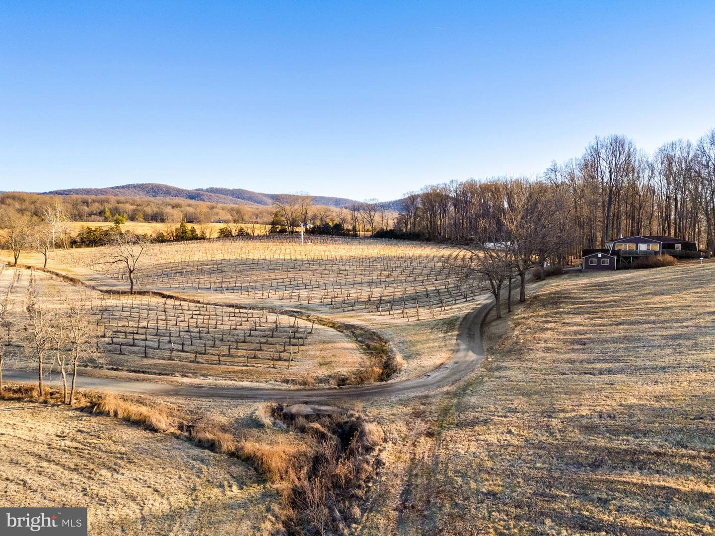 4500 Winery Lane photo 19