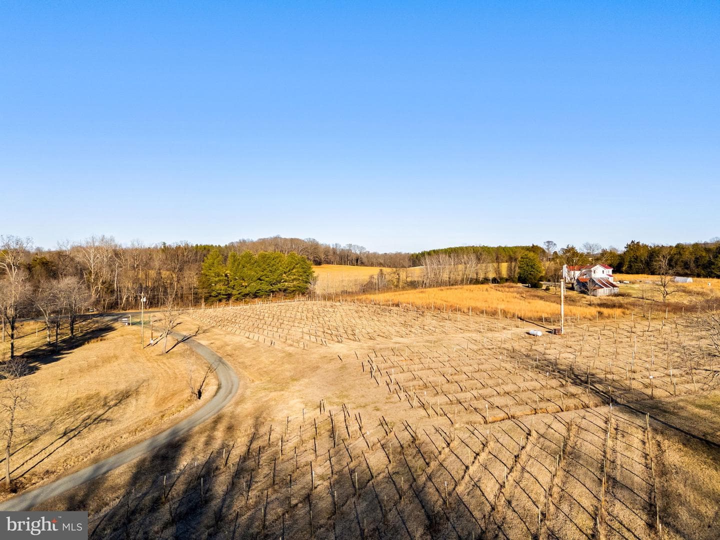 4500 Winery Lane photo 4