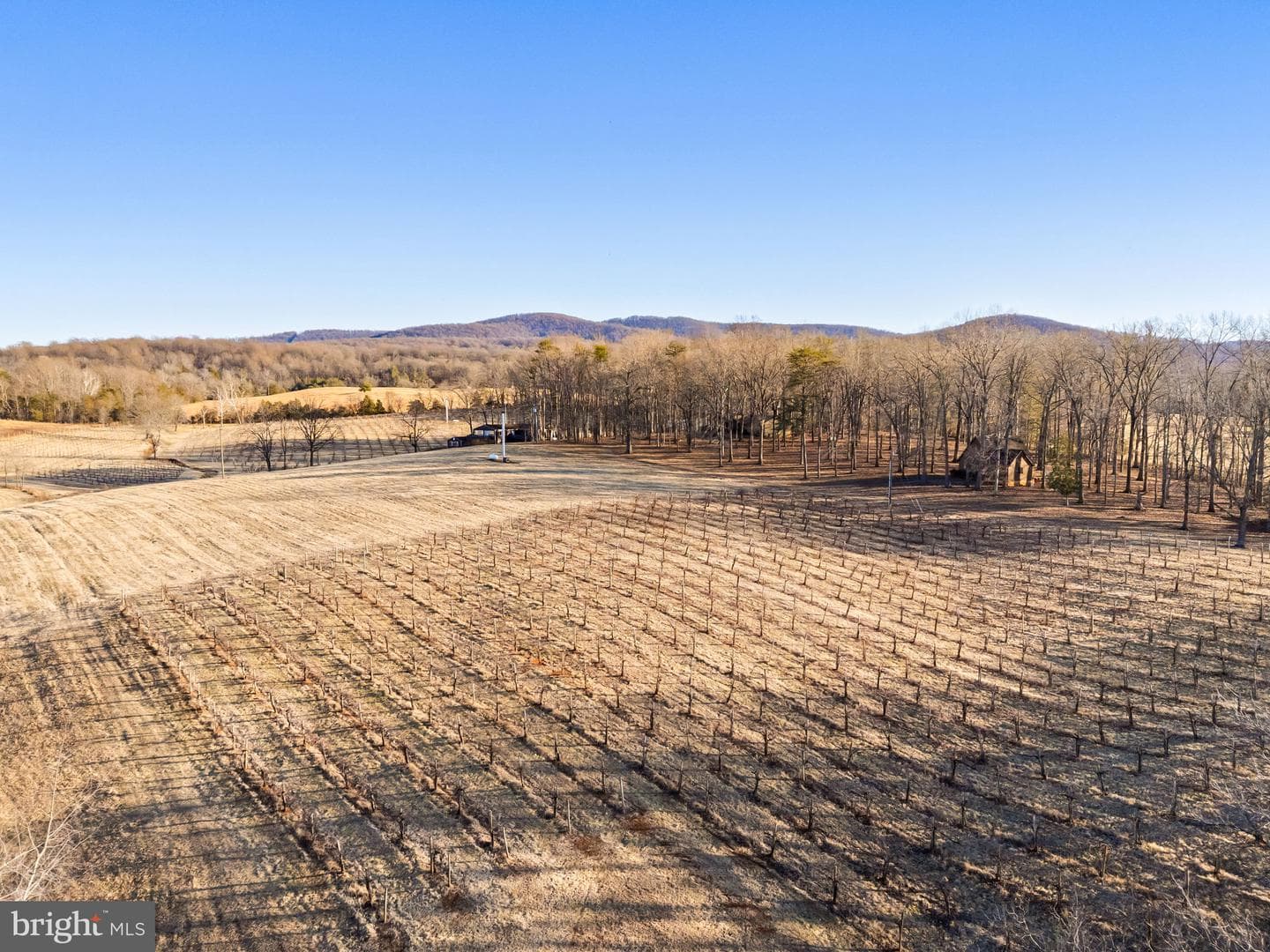 4500 Winery Lane photo 8