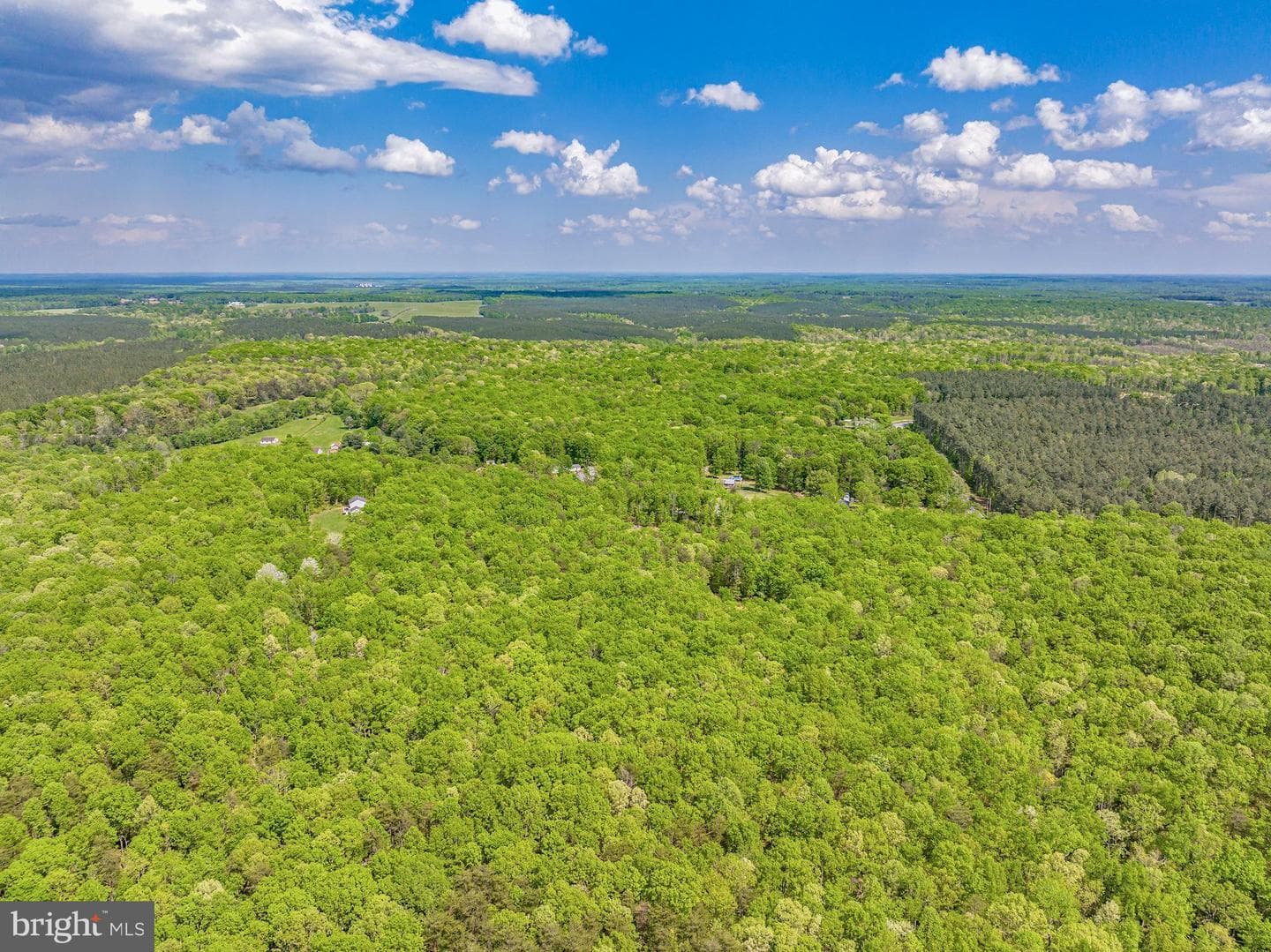 845 Raccoon Ridge Road photo 6