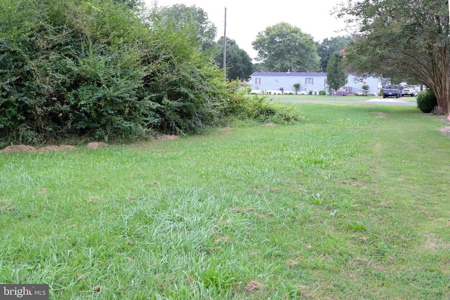 25588 Shore Main Drive photo 30