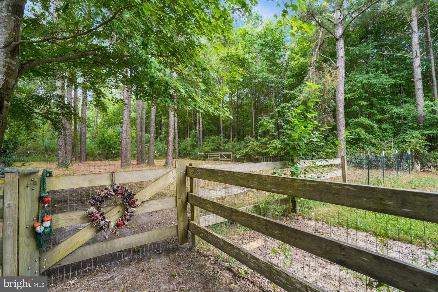 12564 Hacks Neck Road photo 50