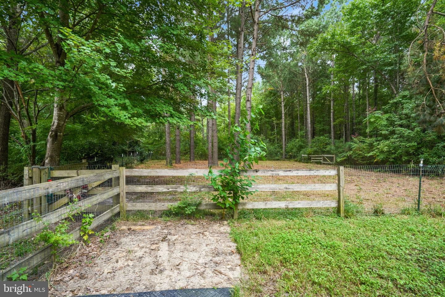 12564 Hacks Neck Road photo 52