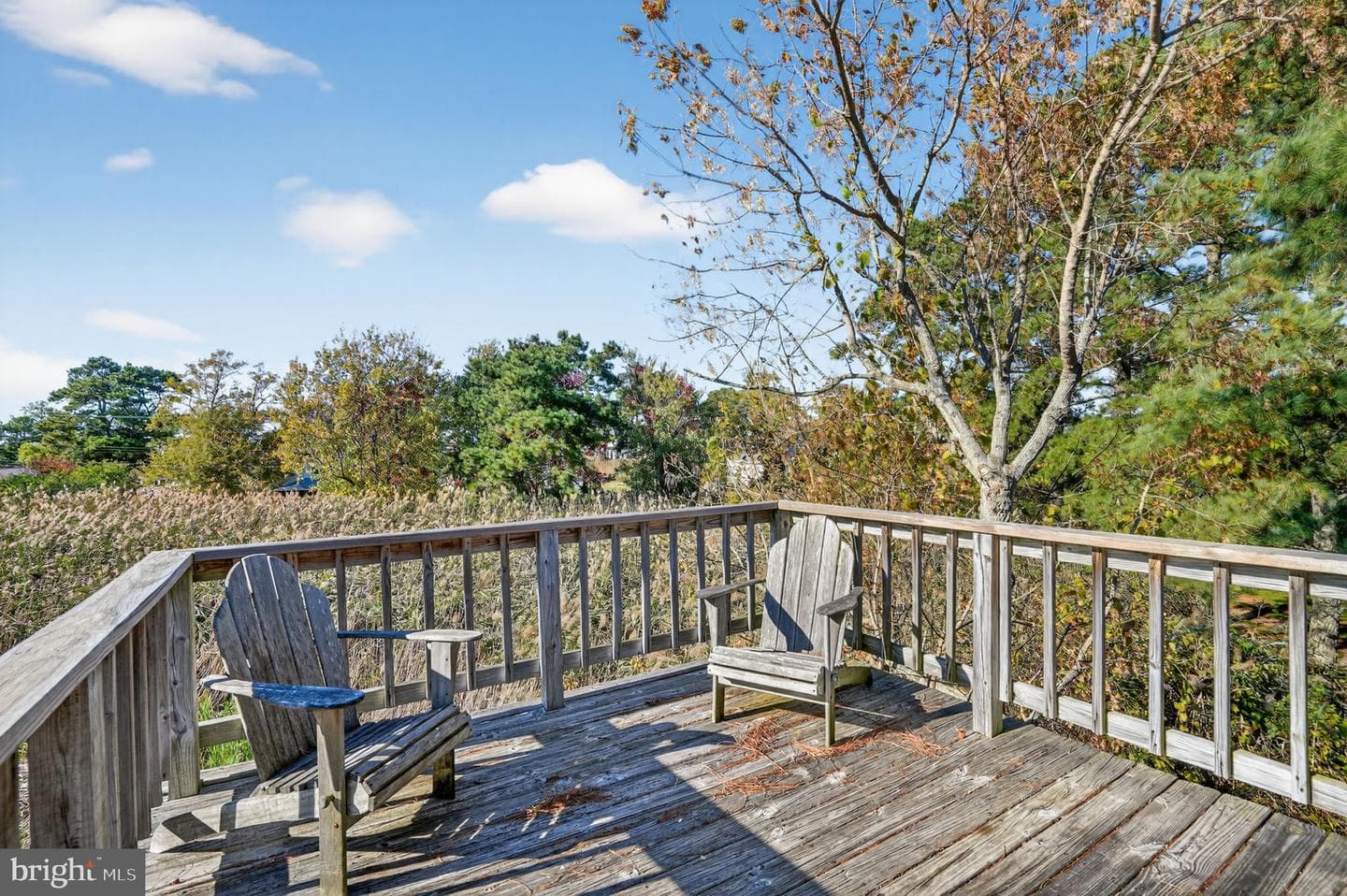 5160 Mallard Pond photo 29
