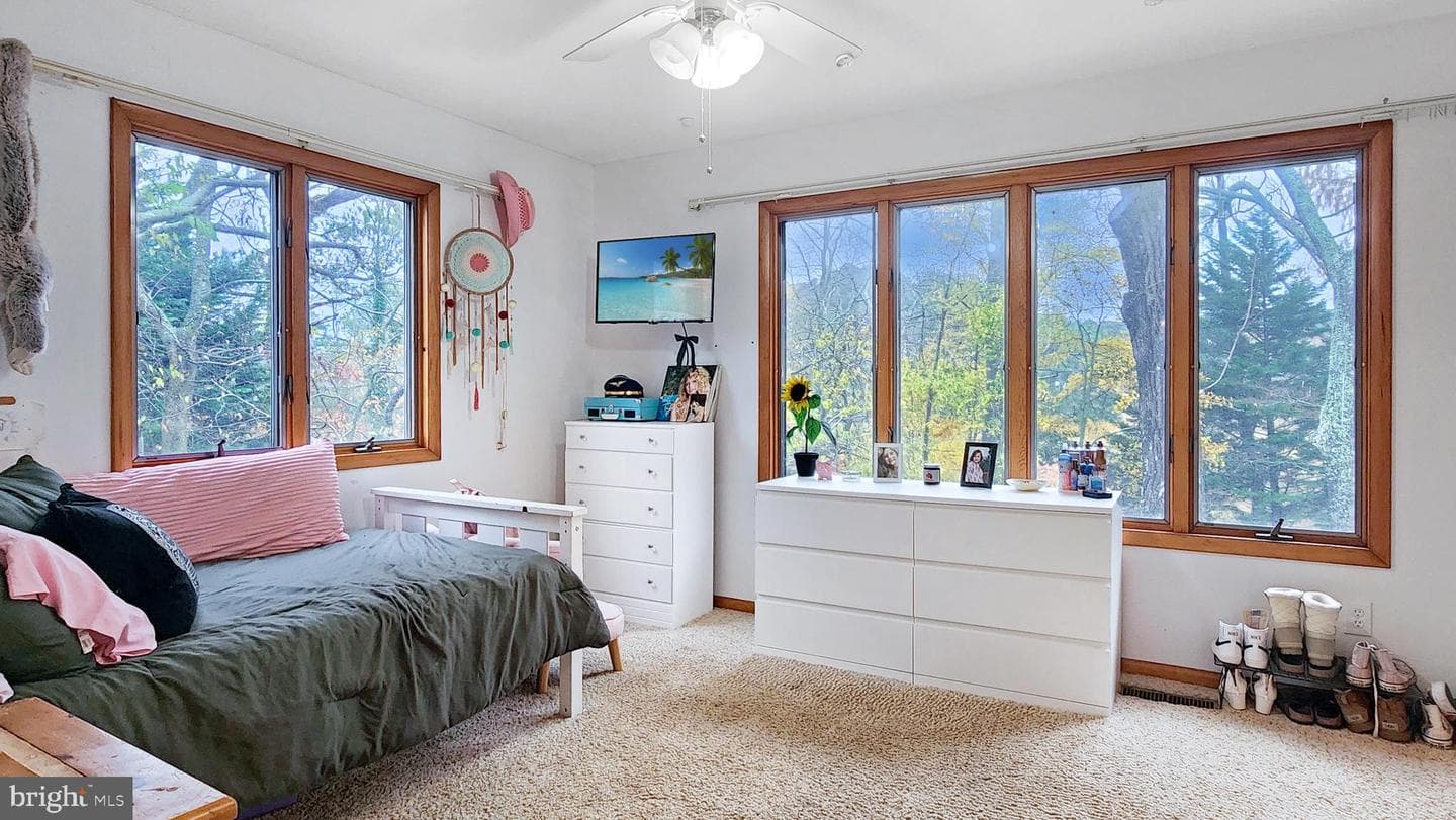 26355 Mount Nebo Road photo 24