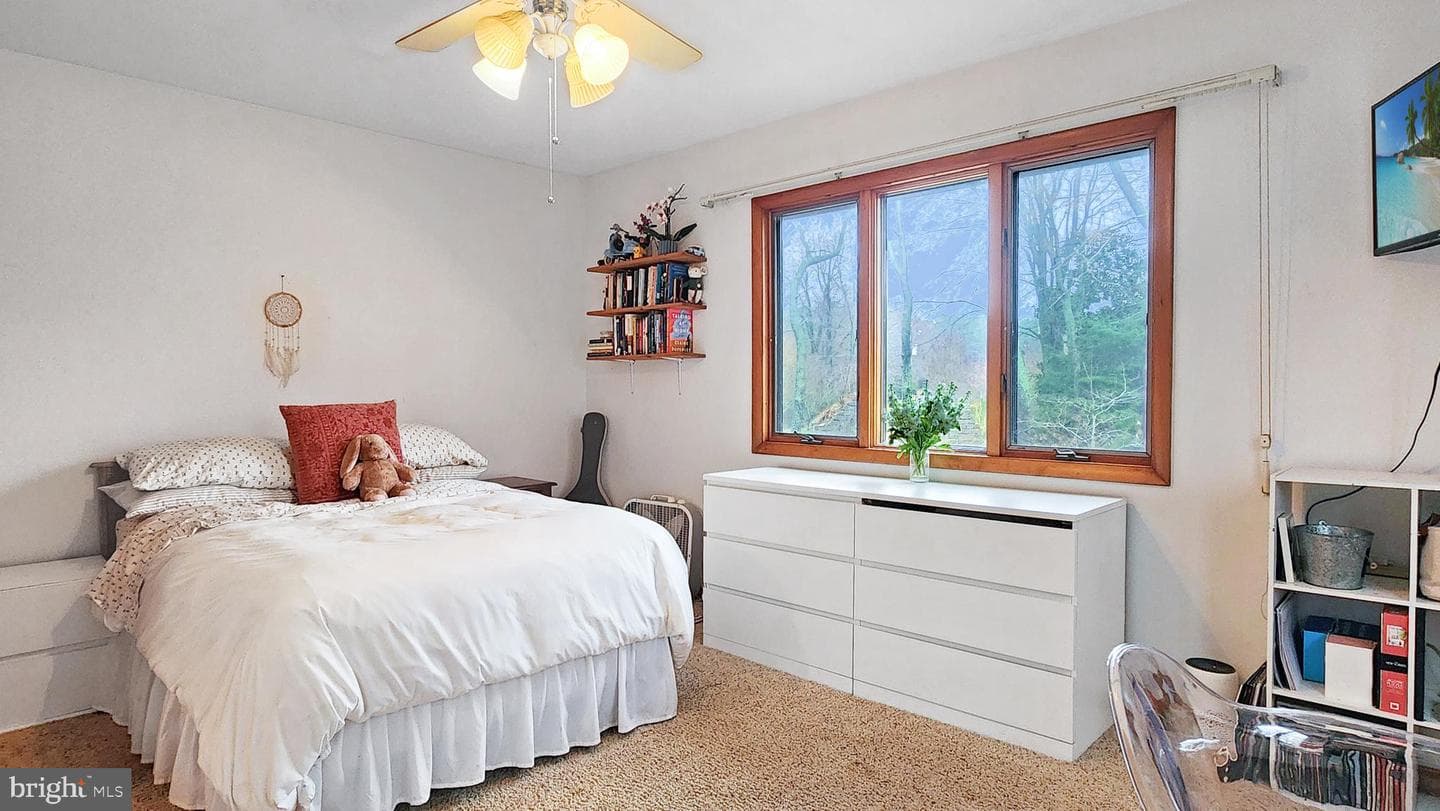 26355 Mount Nebo Road photo 28