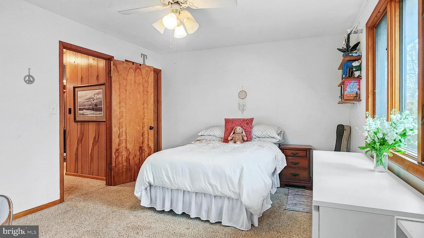 26355 Mount Nebo Road photo 29