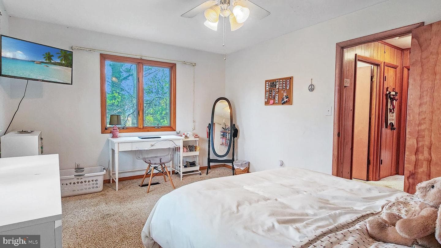 26355 Mount Nebo Road photo 30