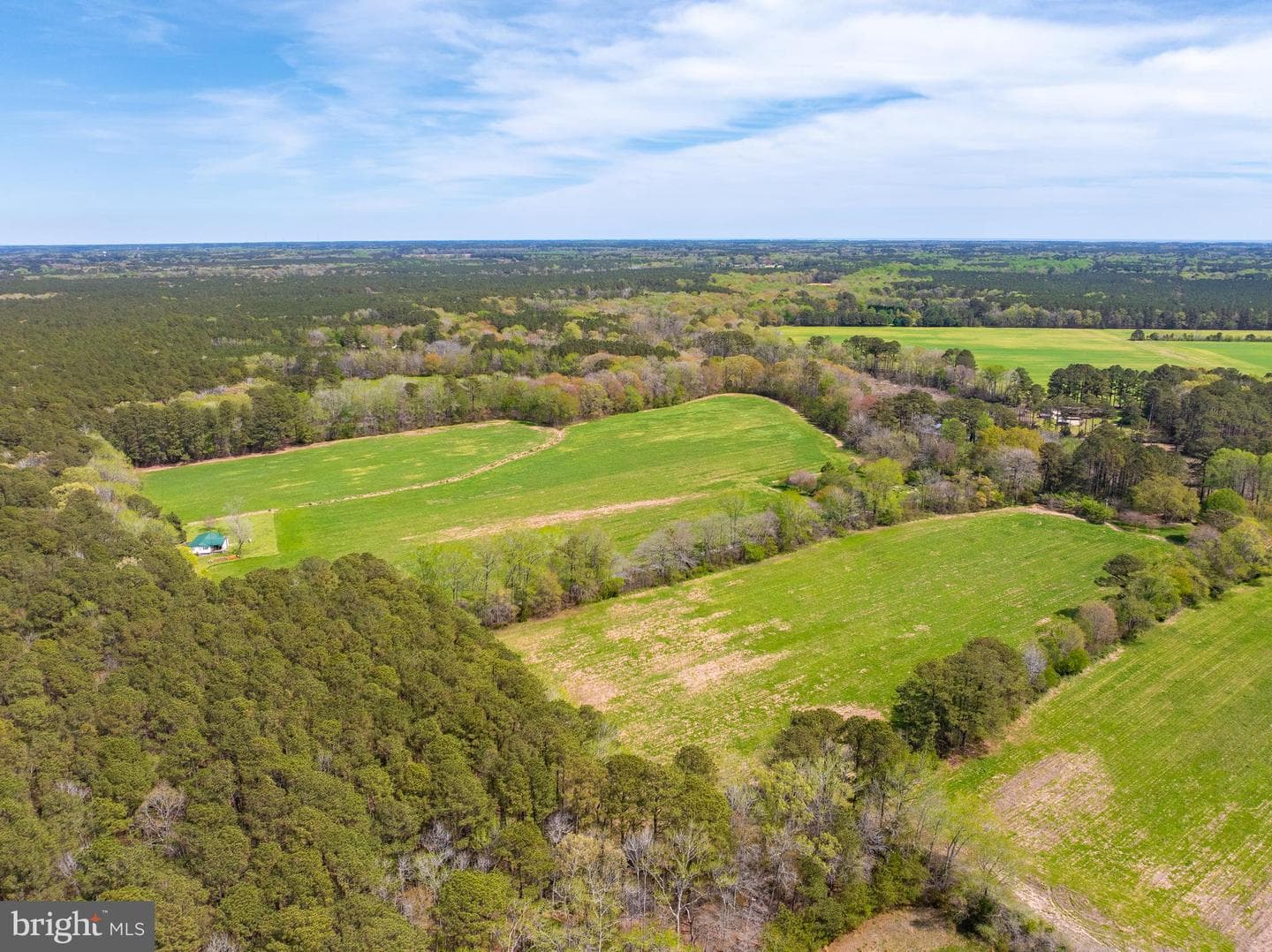 26355 Mount Nebo Road photo 5
