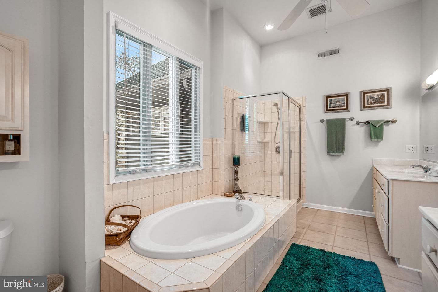 4443 Shady Lane photo 54