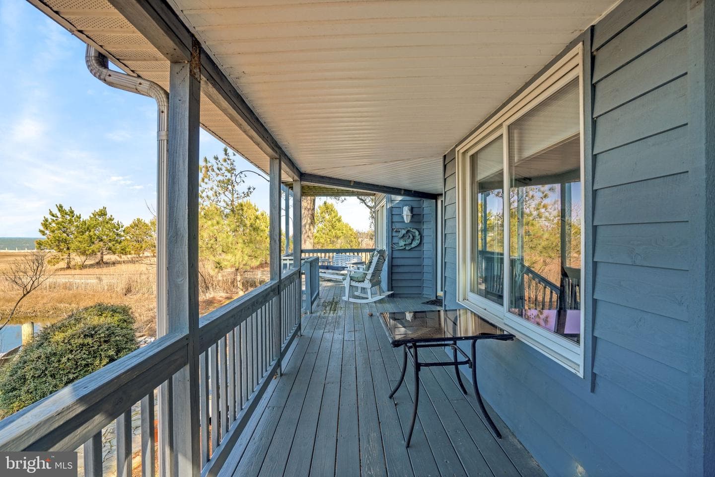 4443 Shady Lane photo 64