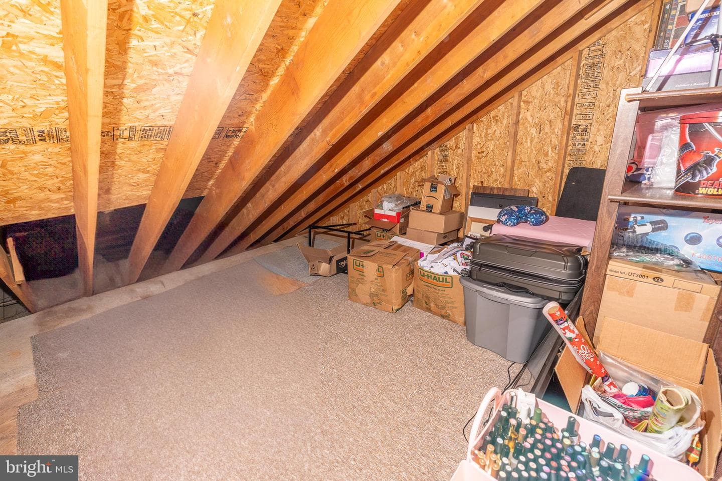 2247 Pike Dr photo 26