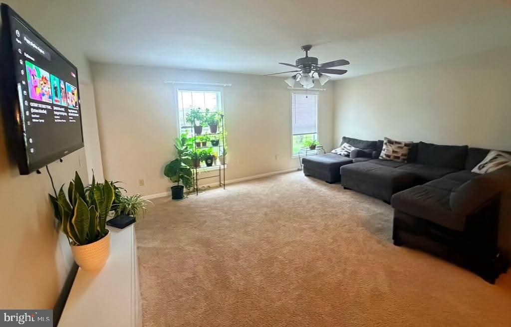 10156 Pineview Ln photo 11