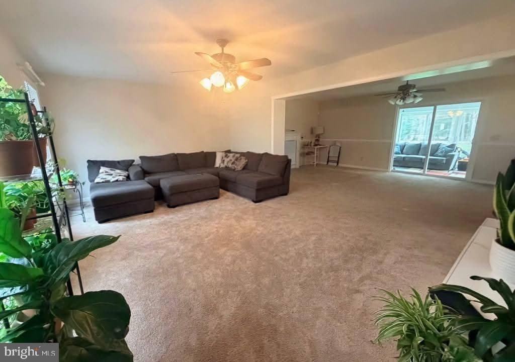 10156 Pineview Ln photo 12