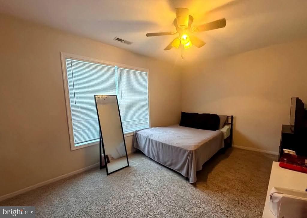 10156 Pineview Ln photo 20