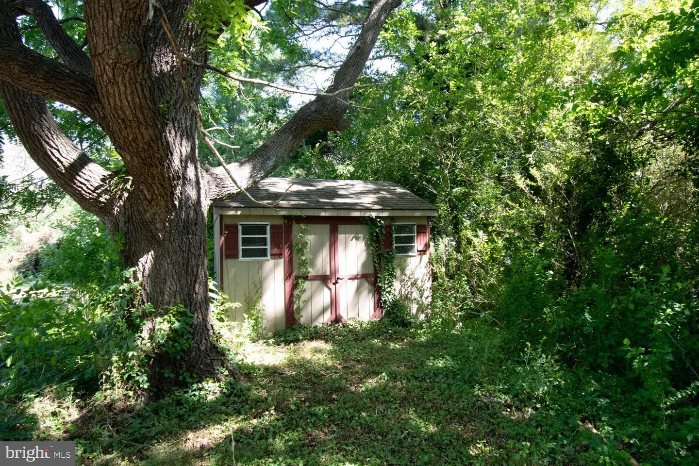 15271 Waterfield Street photo 17