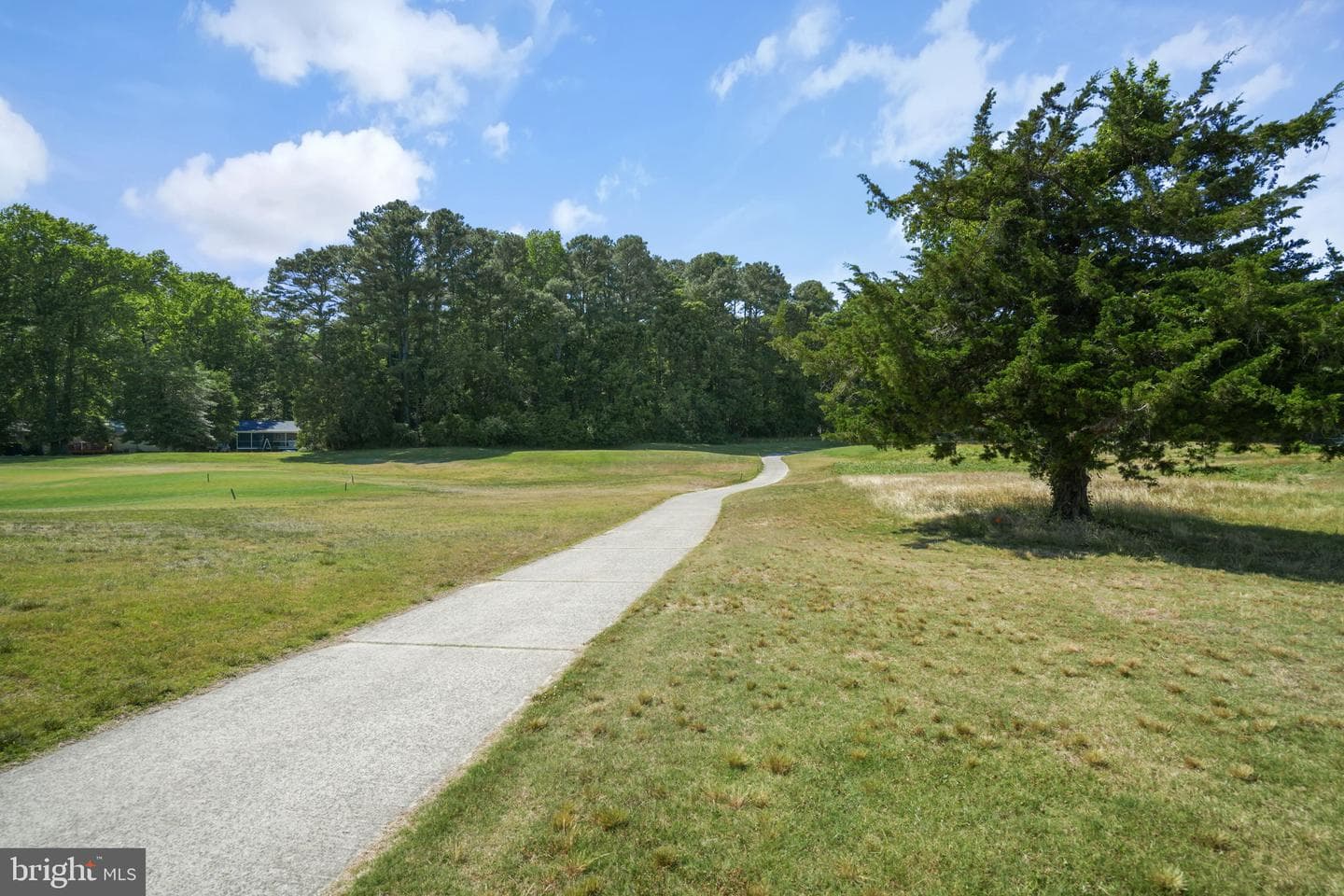 37092 Horizon Ct photo 44