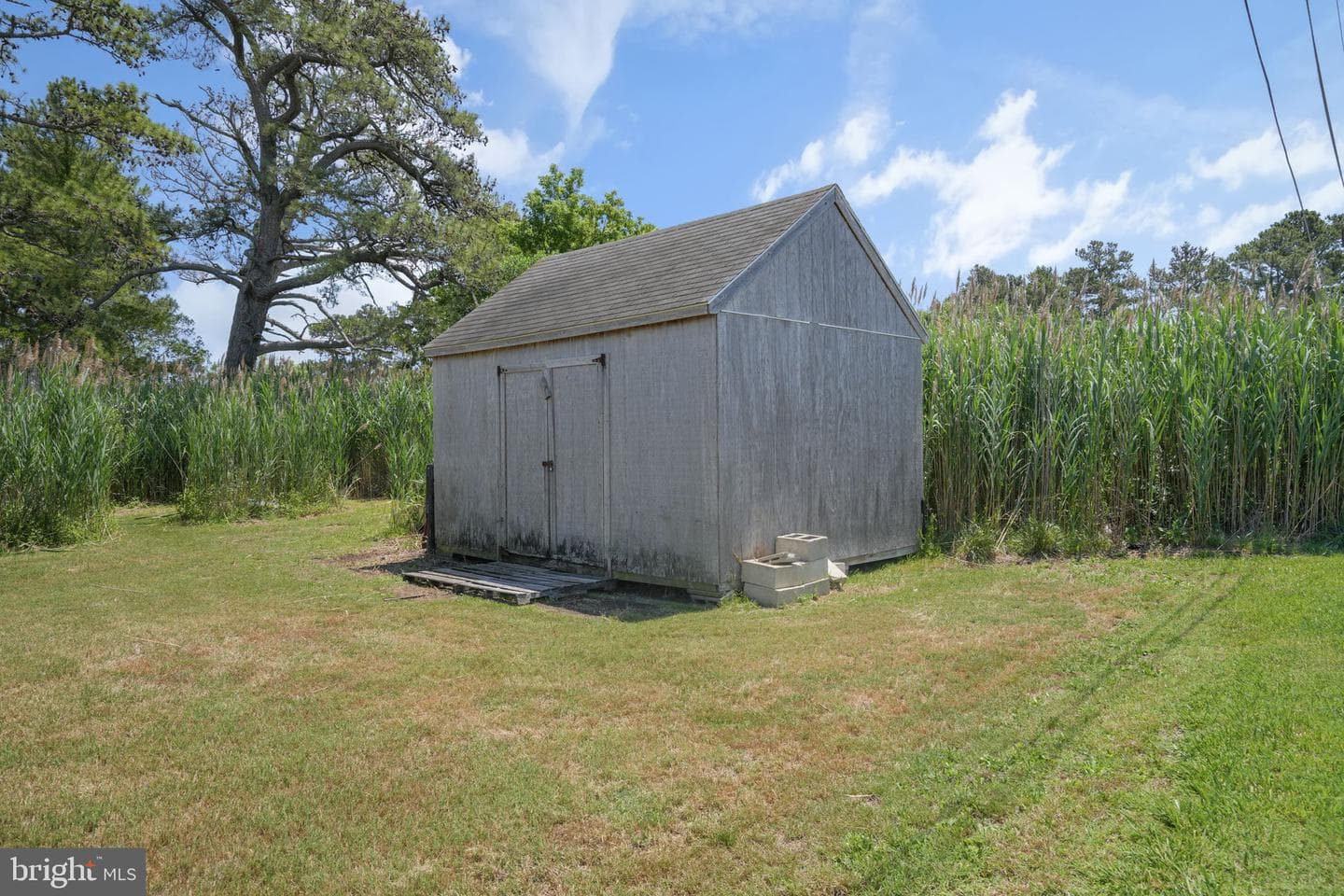 5141 Fish Lane photo 100