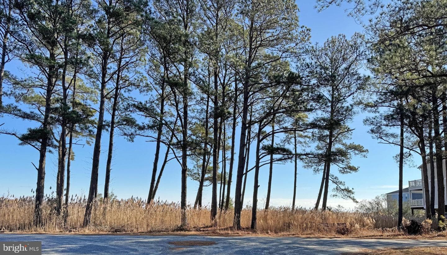 Lot 720 Castaway Drive photo 10