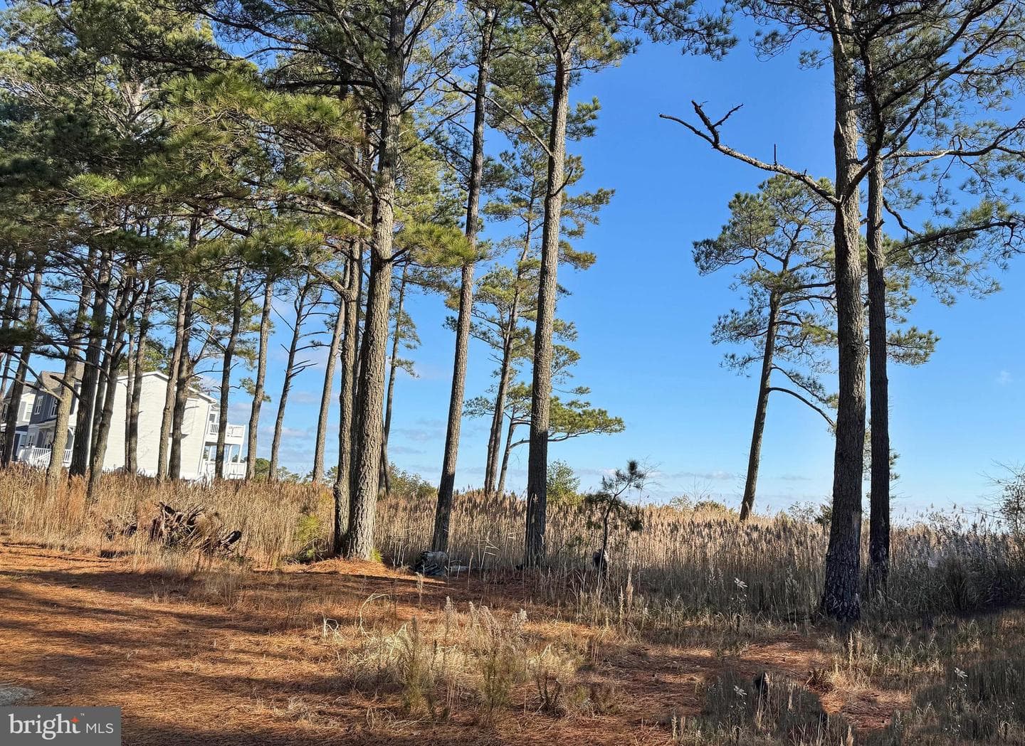 Lot 720 Castaway Drive photo 11